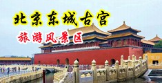 胸大美女被鸡巴操中国北京-东城古宫旅游风景区
